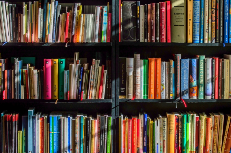 magasin-LE VAL-min_books_bookstore_book_reading_shop_writer_sale_books_read-822866